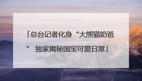 总台记者化身“大熊猫奶爸” 独家揭秘国宝可爱日常