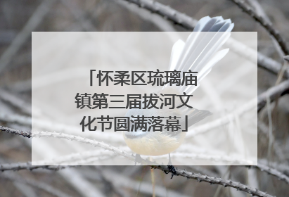 怀柔区琉璃庙镇第三届拔河文化节圆满落幕