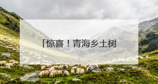 惊喜！青海乡土树种中提取出护肤品