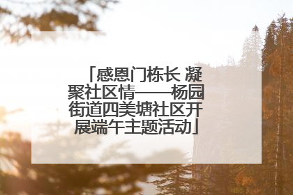 感恩门栋长 凝聚社区情——杨园街道四美塘社区开展端午主题活动