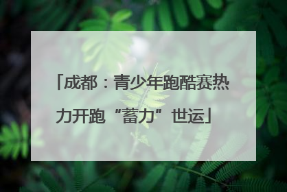 成都：青少年跑酷赛热力开跑“蓄力”世运