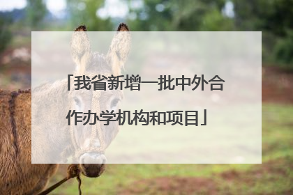 我省新增一批中外合作办学机构和项目