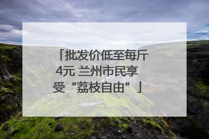 批发价低至每斤4元 兰州市民享受“荔枝自由”