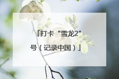 打卡“雪龙2”号（记录中国）
