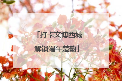 打卡文博西城 解锁端午楚韵