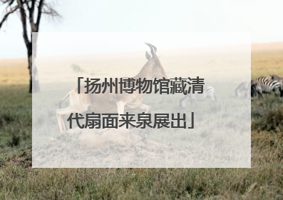 扬州博物馆藏清代扇面来泉展出