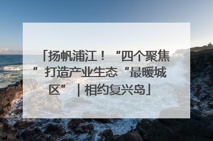扬帆浦江！“四个聚焦”打造产业生态“最暖城区”｜相约复兴岛