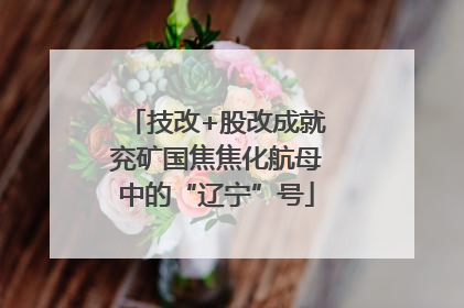 技改+股改成就兖矿国焦焦化航母中的“辽宁”号