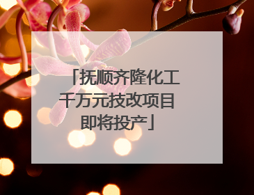 抚顺齐隆化工千万元技改项目即将投产