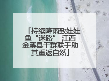持续降雨致娃娃鱼“迷路” 江西金溪县干群联手助其重返自然