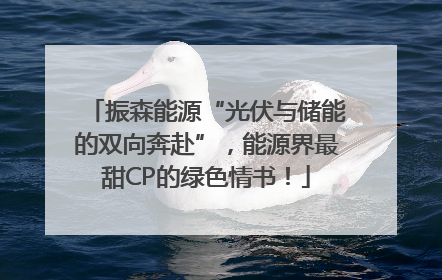 振森能源“光伏与储能的双向奔赴”，能源界最甜CP的绿色情书！