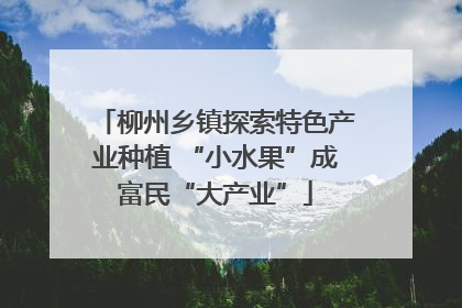柳州乡镇探索特色产业种植 “小水果”成富民“大产业”