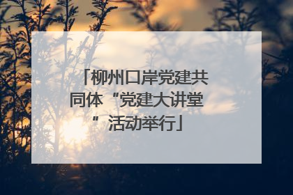 柳州口岸党建共同体“党建大讲堂”活动举行