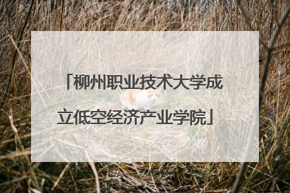 柳州职业技术大学成立低空经济产业学院