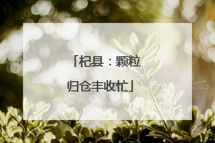 杞县：颗粒归仓丰收忙
