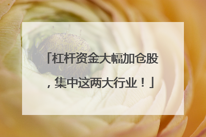 杠杆资金大幅加仓股，集中这两大行业！