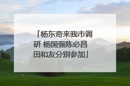 杨东奇来我市调研 杨国强陈必昌田和友分别参加