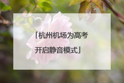 杭州机场为高考开启静音模式