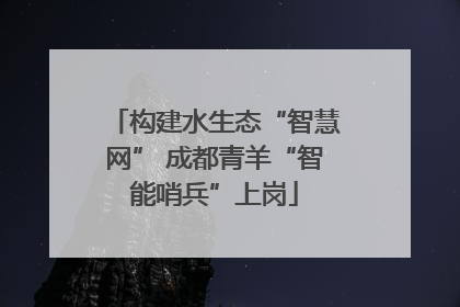构建水生态“智慧网” 成都青羊“智能哨兵”上岗