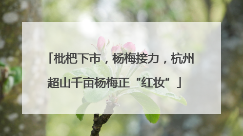 枇杷下市，杨梅接力，杭州超山千亩杨梅正“红妆”