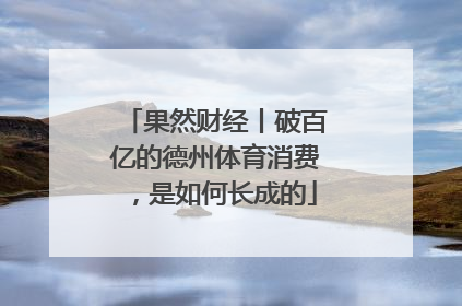 果然财经丨破百亿的德州体育消费，是如何长成的