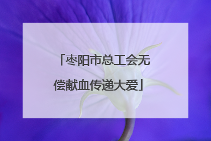 枣阳市总工会无偿献血传递大爱
