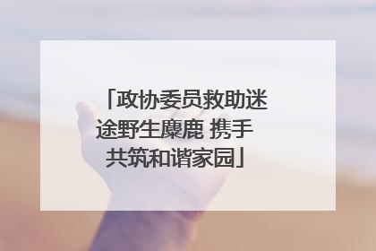 政协委员救助迷途野生麋鹿 携手共筑和谐家园