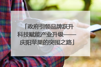 政府引领品牌跃升 科技赋能产业升级——庆阳苹果的突围之路