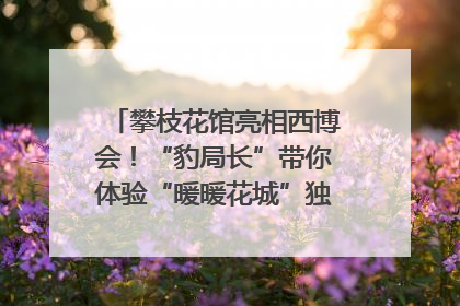 攀枝花馆亮相西博会！“豹局长”带你体验“暖暖花城”独特魅力｜西博视界