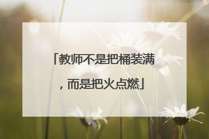 教师不是把桶装满，而是把火点燃