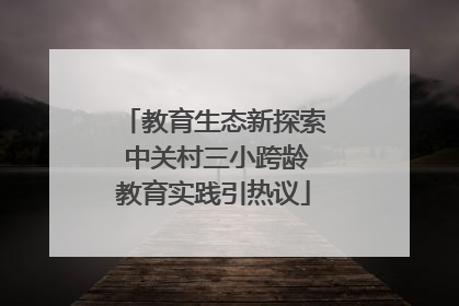 教育生态新探索 中关村三小跨龄教育实践引热议
