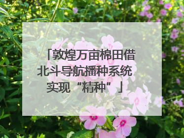 敦煌万亩棉田借北斗导航播种系统实现“精种”