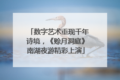 数字艺术重现千年诗境，《赊月洞庭》南湖夜游精彩上演