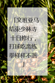 文班亚马结束少林寺十日修行，打球吃斋练拳样样不落