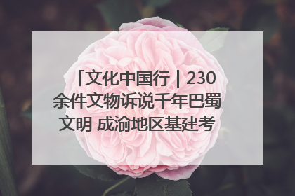 文化中国行｜230余件文物诉说千年巴蜀文明 成渝地区基建考古成果展开展