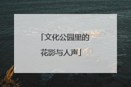 文化公园里的花影与人声