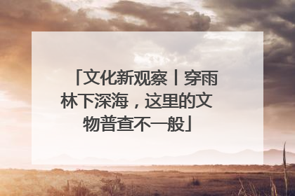文化新观察丨穿雨林下深海，这里的文物普查不一般