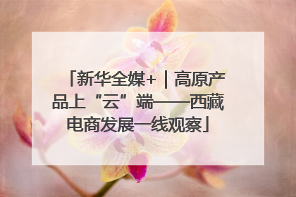 新华全媒+｜高原产品上“云”端——西藏电商发展一线观察