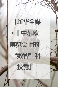 新华全媒+丨中东欧博览会上的“数智”科技秀