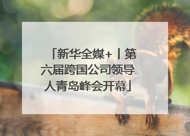新华全媒+丨第六届跨国公司领导人青岛峰会开幕