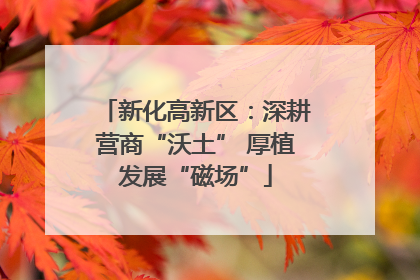 新化高新区：深耕营商“沃土” 厚植发展“磁场”