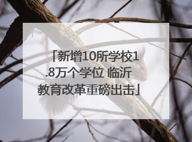 新增10所学校1.8万个学位 临沂教育改革重磅出击
