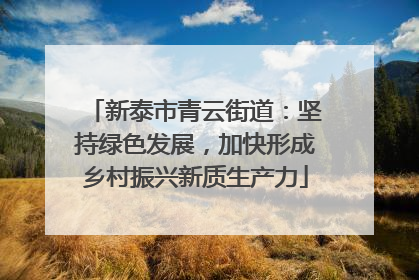 新泰市青云街道：坚持绿色发展，加快形成乡村振兴新质生产力