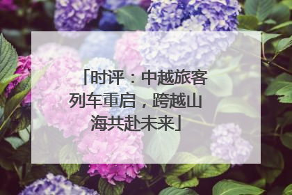 时评：中越旅客列车重启，跨越山海共赴未来