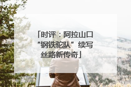 时评：阿拉山口“钢铁驼队”续写丝路新传奇