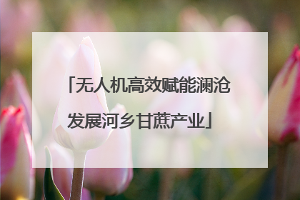无人机高效赋能澜沧发展河乡甘蔗产业