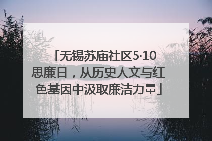 无锡苏庙社区5·10思廉日，从历史人文与红色基因中汲取廉洁力量