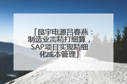 昆宇电源吕春燕：制造业需精打细算，SAP项目实现精细化成本管理