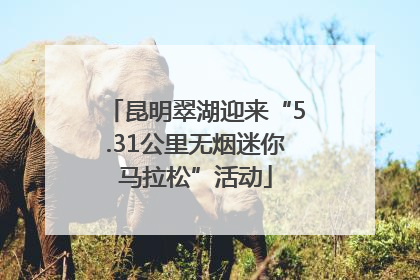 昆明翠湖迎来“5.31公里无烟迷你马拉松”活动
