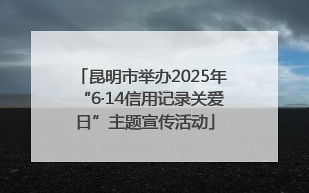 昆明市举办2025年“6·14信用记录关爱日”主题宣传活动